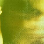 WIRED Roundup: Psychóza umělé inteligence, chybějící soubory FTC a štěnice Google