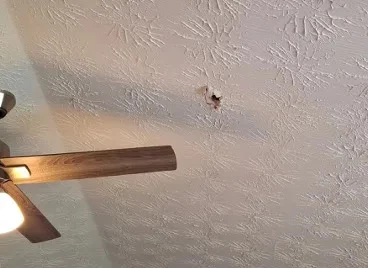 Meteorit se pohyboval dostatečně rychle pod úhlem, že byl schopen projít střechou majitele domu, potrubím a stropem.